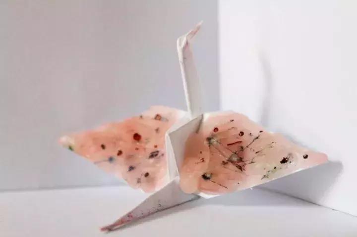 他用3个月时间，折叠了1000只千纸鹤，送给了他最亲爱的姑娘