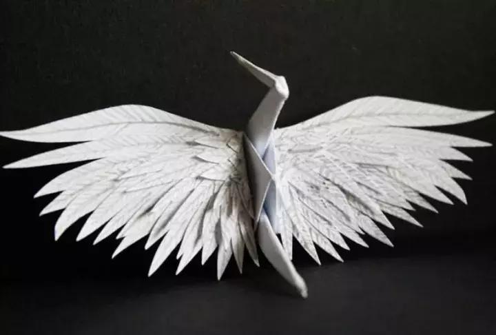 他用3个月时间，折叠了1000只千纸鹤，送给了他最亲爱的姑娘