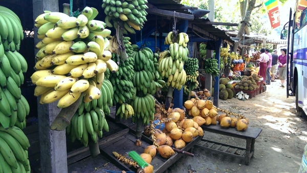 中国哪个地方菠萝蜜便宜,哪个地方的菠萝蜜比较便宜