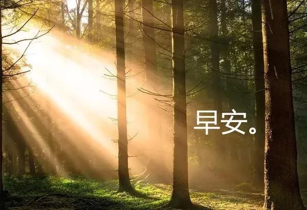 微商早安心语正能量一句话简短,早安微商励志正能量简短句子