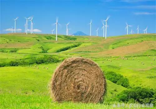 农业已成创业风口!2018年迎来6大农业红利