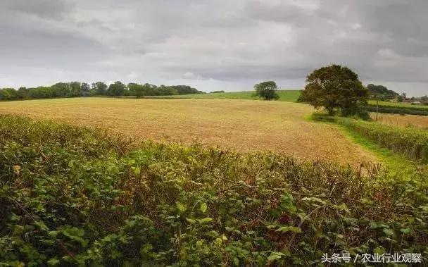 农业已成创业风口!2018年迎来6大农业红利