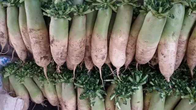 毕节的这些特色农产品你都知道吗,毕节十大特产农产品