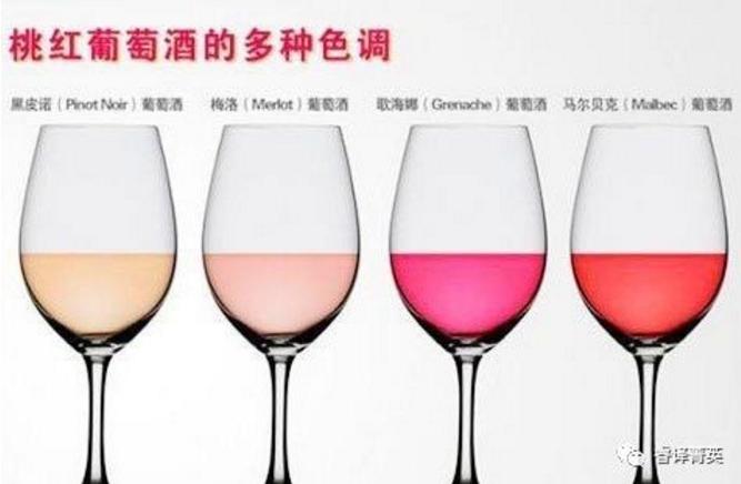 「睿译足迹」法兰西风情（二）：法国美酒