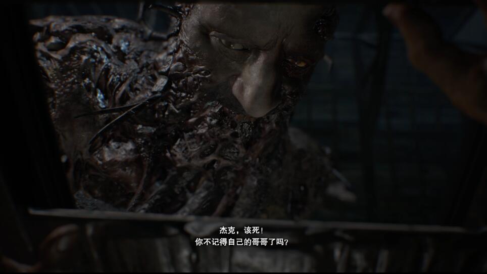 生化危机7dlc佐伊过关攻略,生化危机7佐伊的结局dlc是哪个