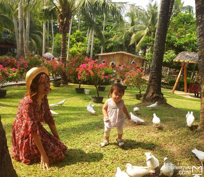 在冬季里享受一下三亚夏日的海风,来享受三亚夏日与海风