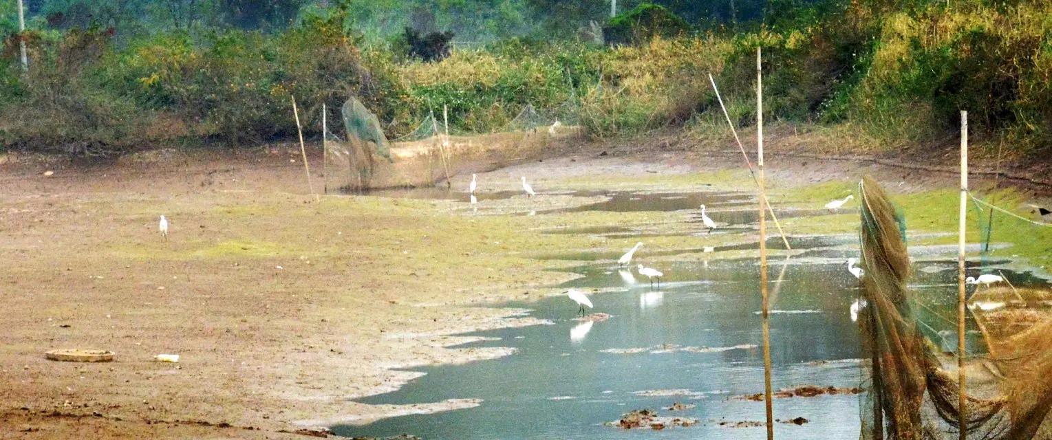 珠海市淇澳岛旅游攻略,珠海淇澳岛一日游攻略白石街
