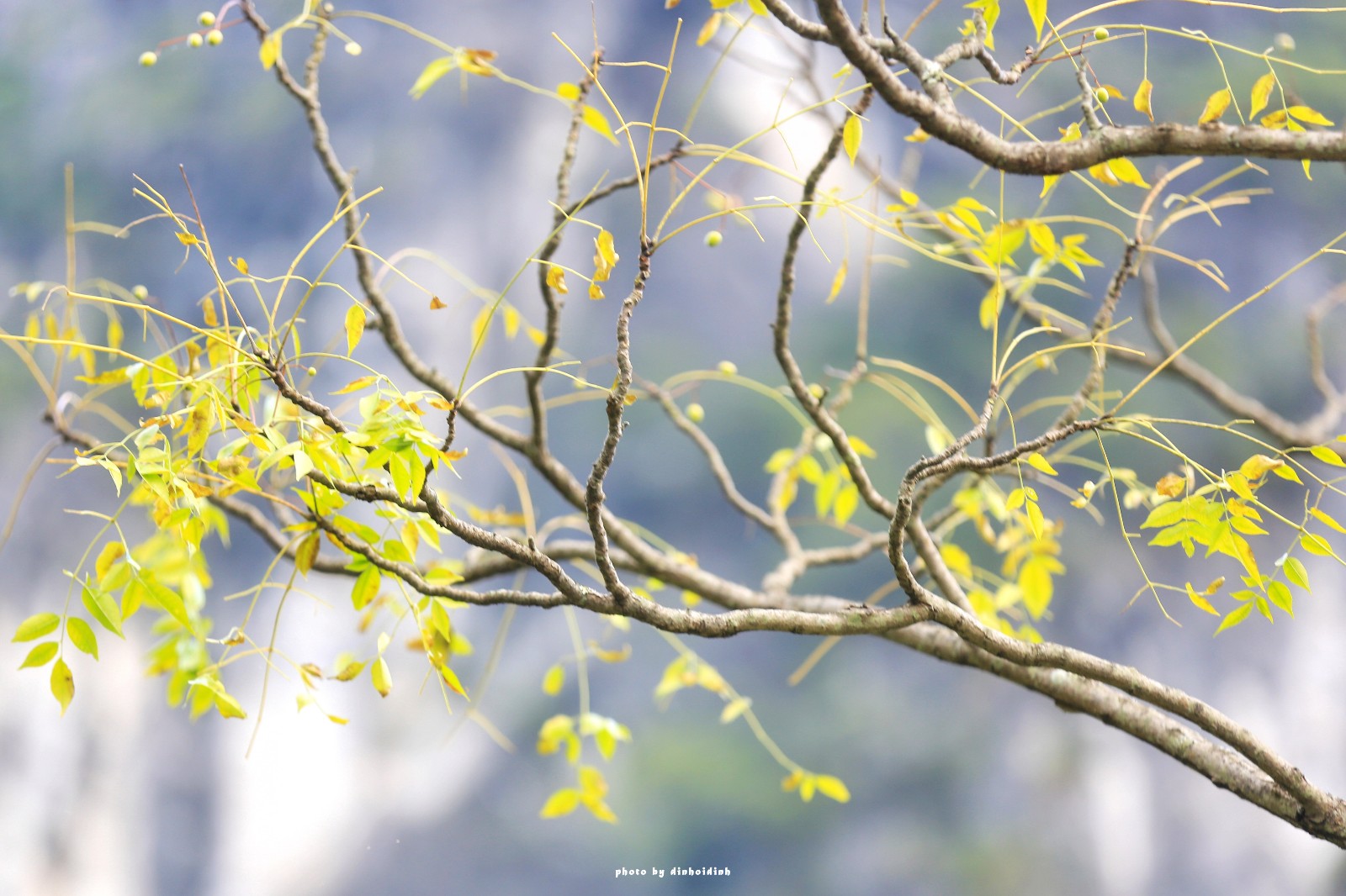 天等小记-登一座山爱一座城看一片天等日夕晨