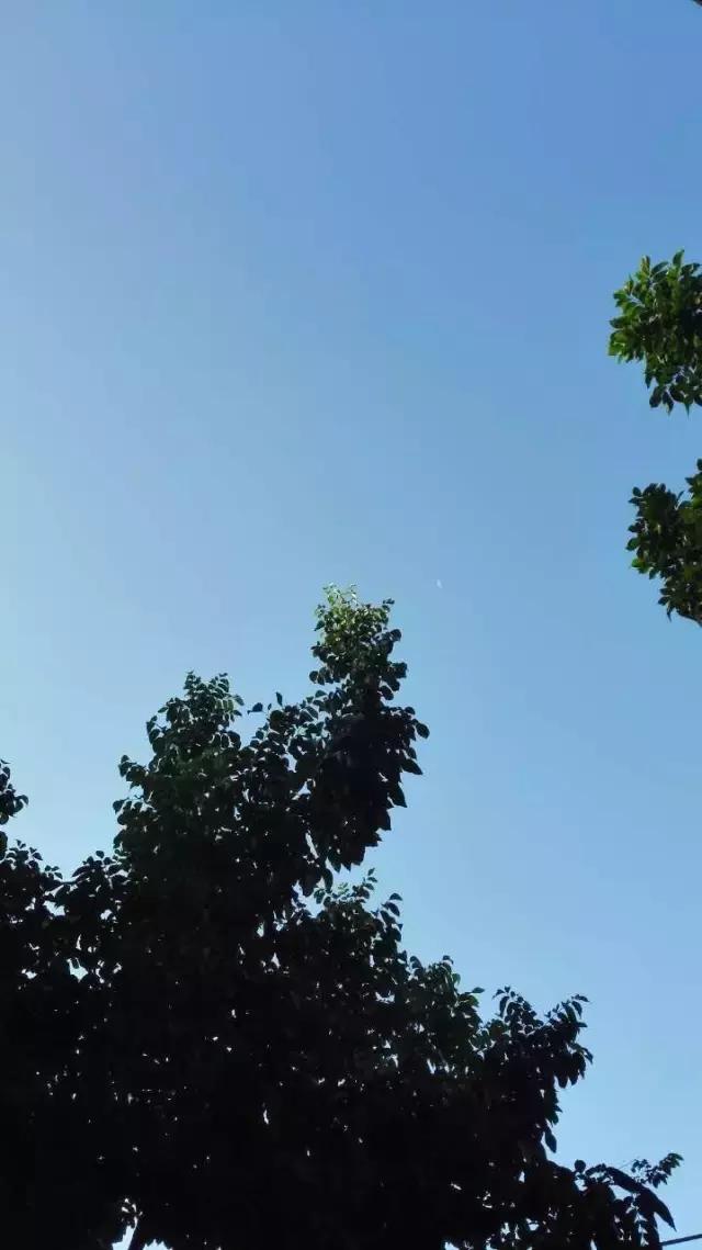 美丽肩颈按摩spa,美丽香约祛斑祛痘