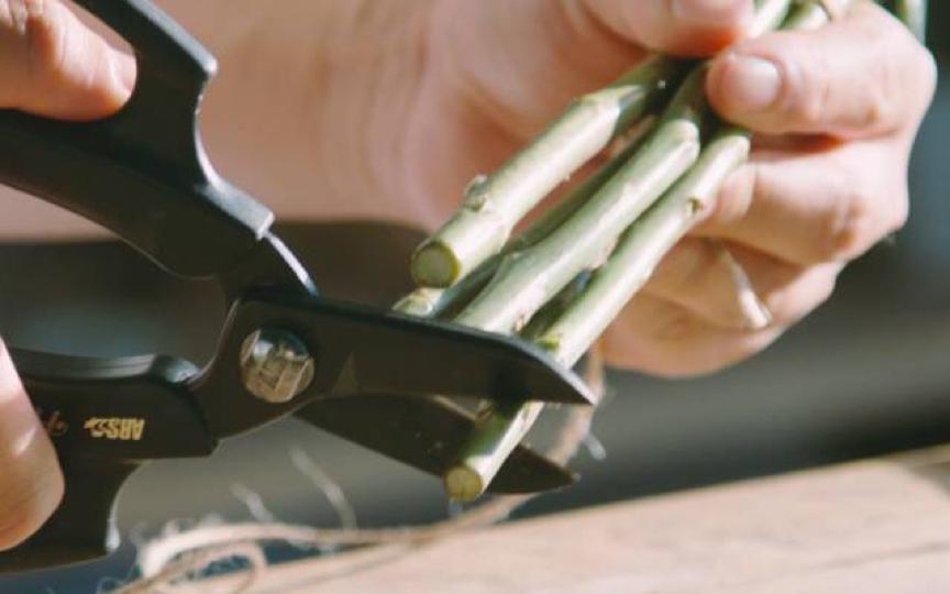 怎么保留花色做干花,如何把鲜花做成干花保留花色