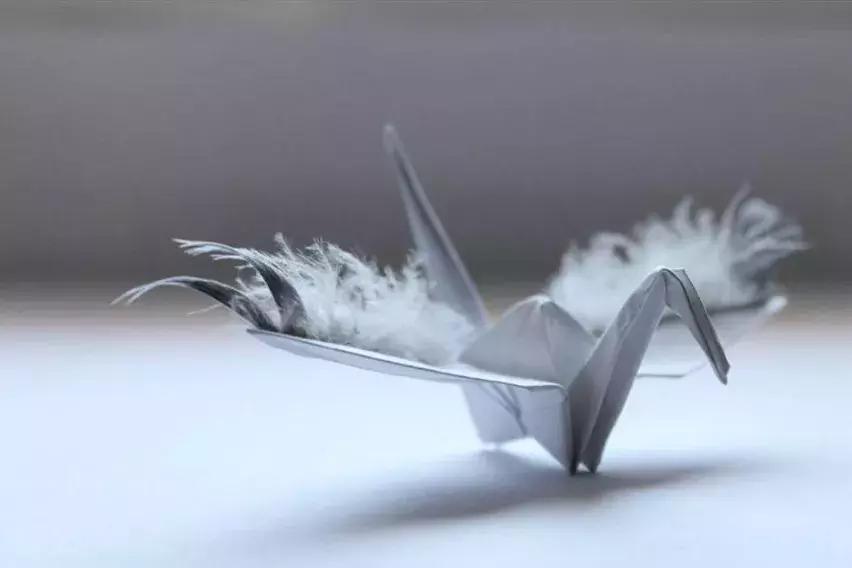 他用3个月时间，折叠了1000只千纸鹤，送给了他最亲爱的姑娘