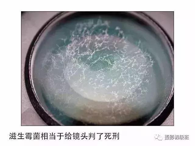 新手入门应该买什么镜头,新手有必要买镜头么