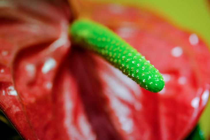 富士xf50mmf2评测,富士xf80mmf2.8