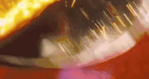 LadyM值得排？其实老美吃得比我们糙多了！但是伦家开心啊！