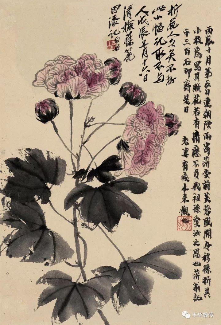 中国嘉德最新征集,中国嘉德第53期