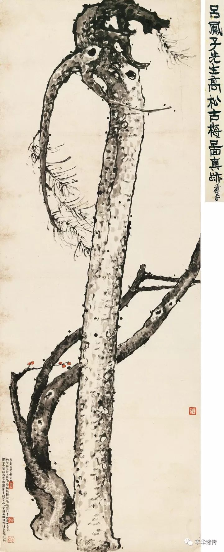 中国嘉德最新征集,中国嘉德第53期