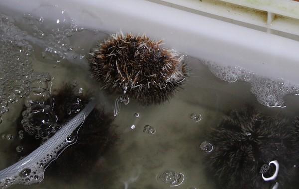 在冬季里享受一下三亚夏日的海风,来享受三亚夏日与海风