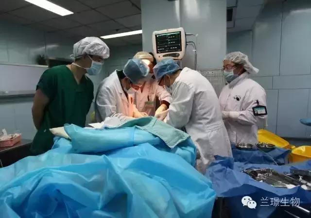 宣晟远程会诊：来自我们身体的药物——人血白蛋白