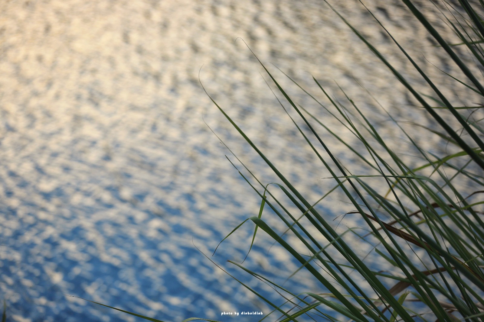 天等小记-登一座山爱一座城看一片天等日夕晨