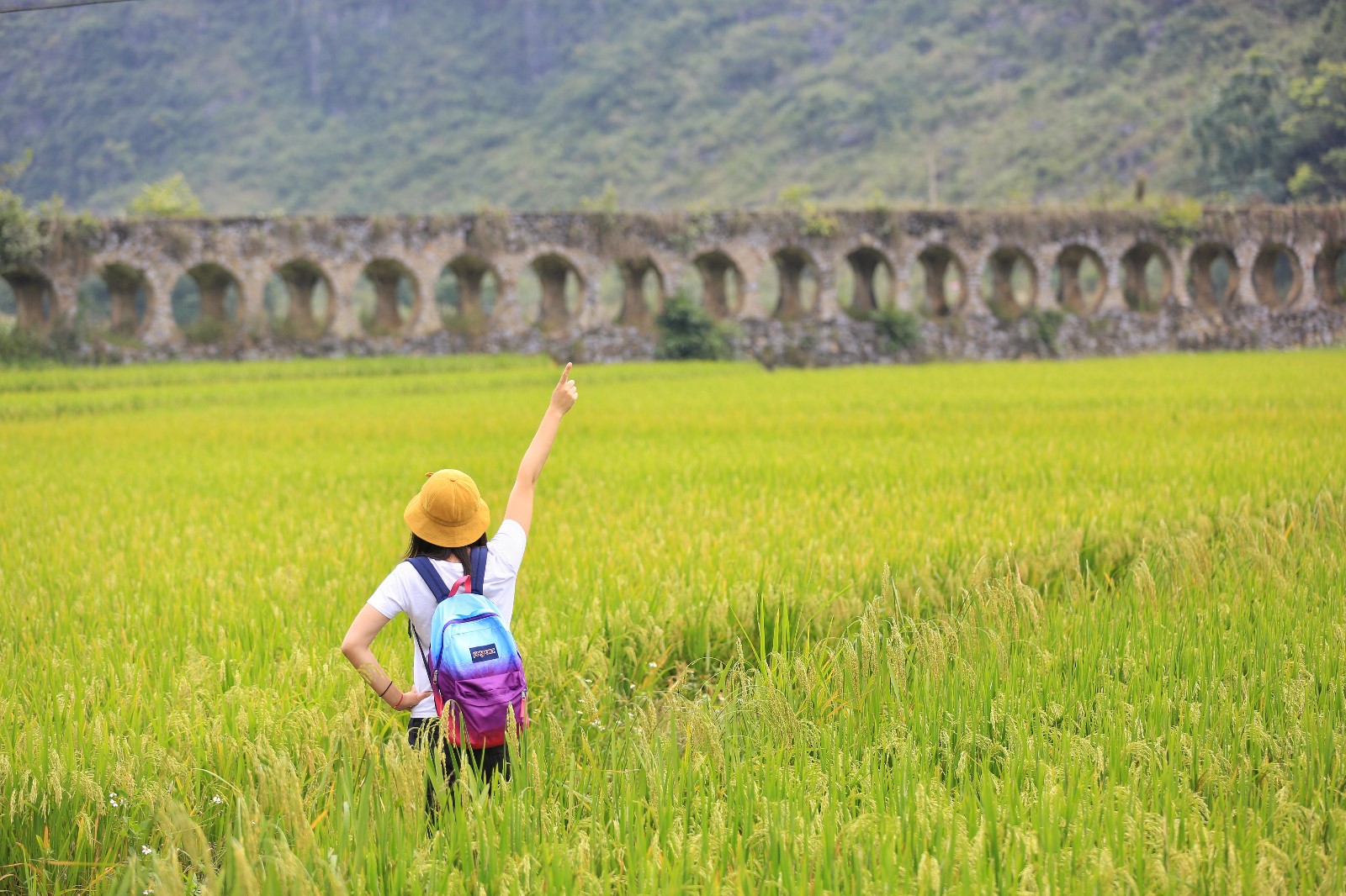 天等小记-登一座山爱一座城看一片天等日夕晨