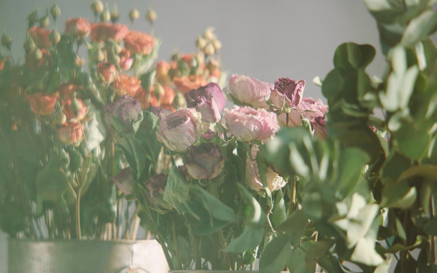 怎么保留花色做干花,如何把鲜花做成干花保留花色