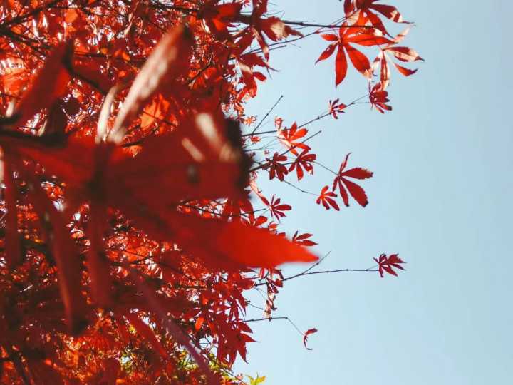 带你们看看湖南的大山风景,湖南一座被遗忘的山