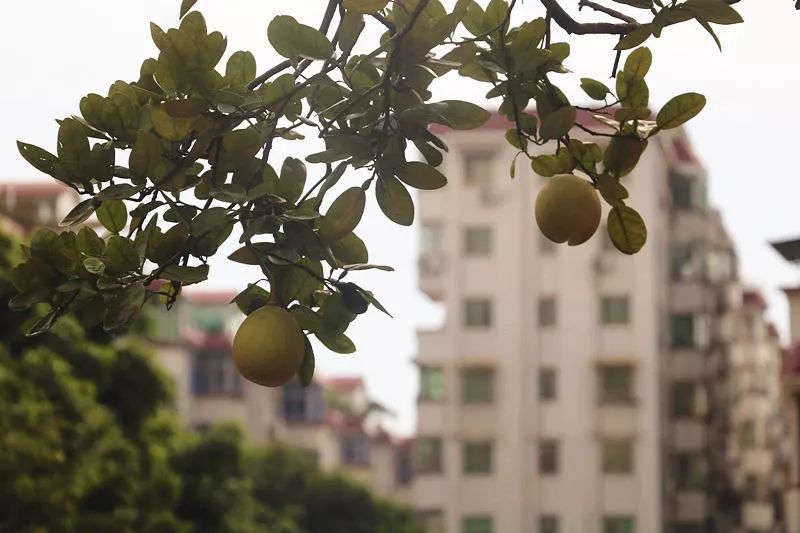 娴风彔浠戝ご,娴风彔鏂版粯浠戝ご