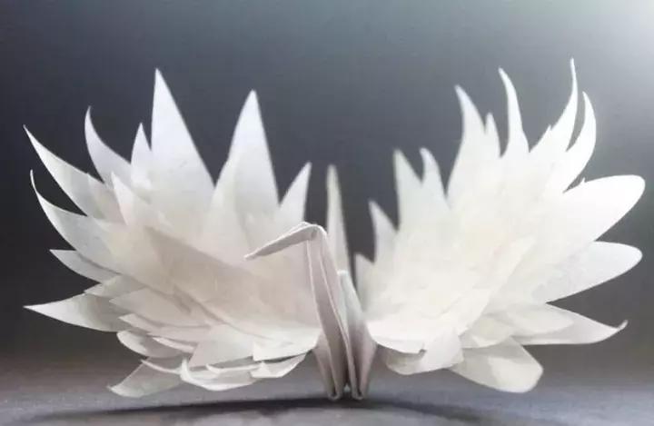 他用3个月时间，折叠了1000只千纸鹤，送给了他最亲爱的姑娘