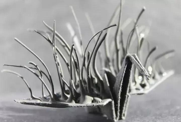 他用3个月时间，折叠了1000只千纸鹤，送给了他最亲爱的姑娘