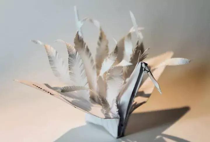 他用3个月时间，折叠了1000只千纸鹤，送给了他最亲爱的姑娘