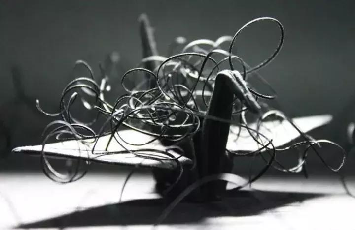 他用3个月时间，折叠了1000只千纸鹤，送给了他最亲爱的姑娘