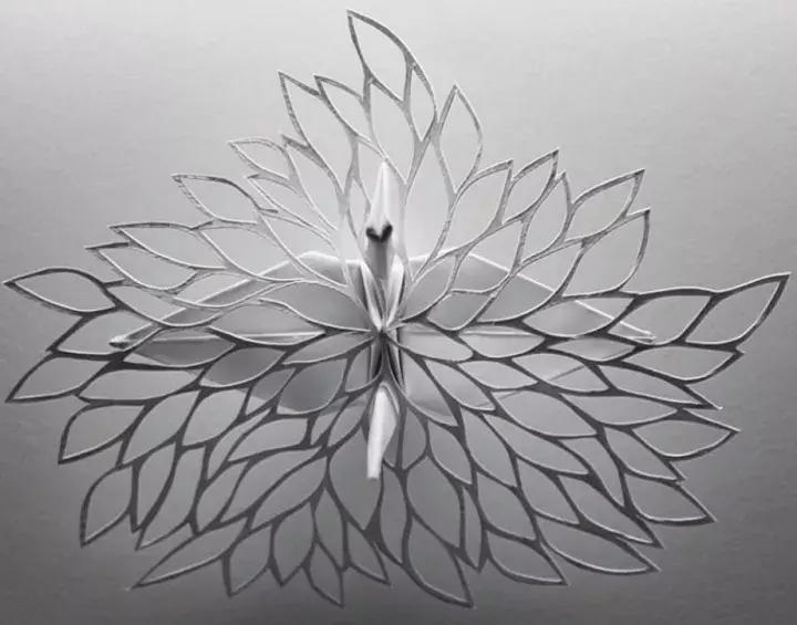 他用3个月时间，折叠了1000只千纸鹤，送给了他最亲爱的姑娘