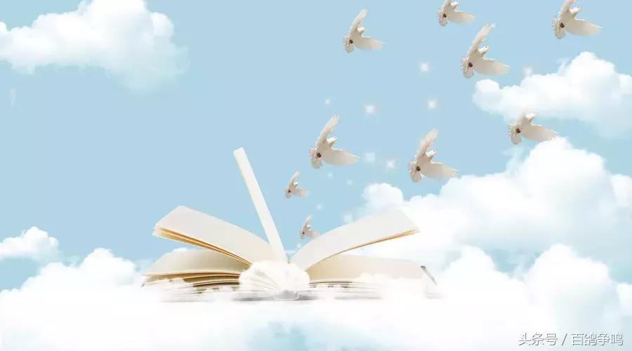 养鸽死亡率在多少是正常的,养十只鸽子怎么才能不飞走