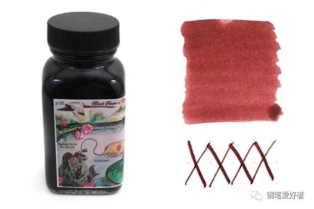 读完了这篇文章你明白了什么,鲶鱼墨水科普