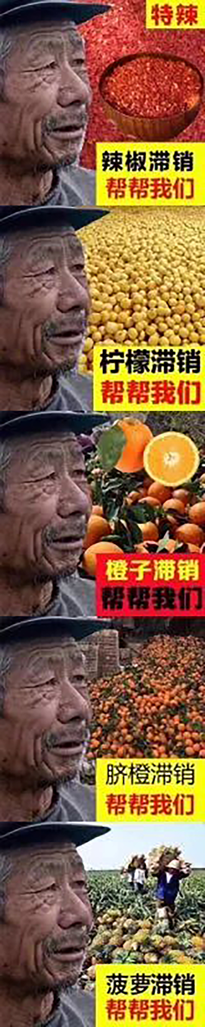 被玩坏的饥荒,被玩坏的二手货还觉得很值钱