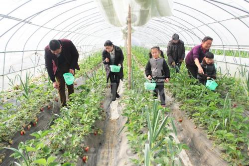 致富需要牺牲的十件事,致富经养鱼的失败经历