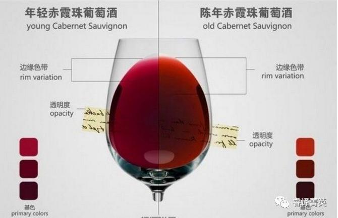 「睿译足迹」法兰西风情（二）：法国美酒