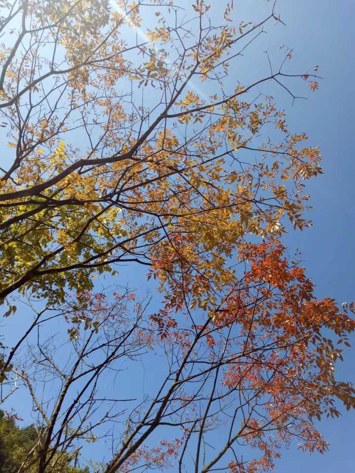 带你们看看湖南的大山风景,湖南一座被遗忘的山