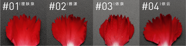 看完这篇文章，你就知道如何湿哒哒了