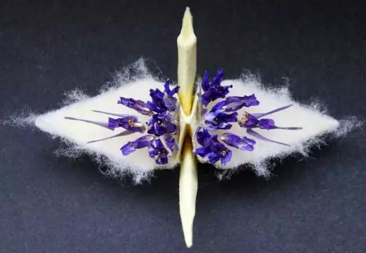 他用3个月时间，折叠了1000只千纸鹤，送给了他最亲爱的姑娘