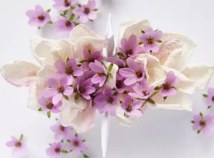 他用3个月时间，折叠了1000只千纸鹤，送给了他最亲爱的姑娘