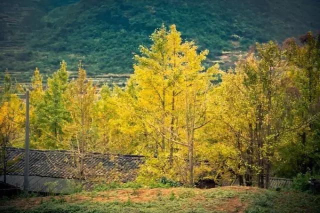 南国里的冰雪童话——连州