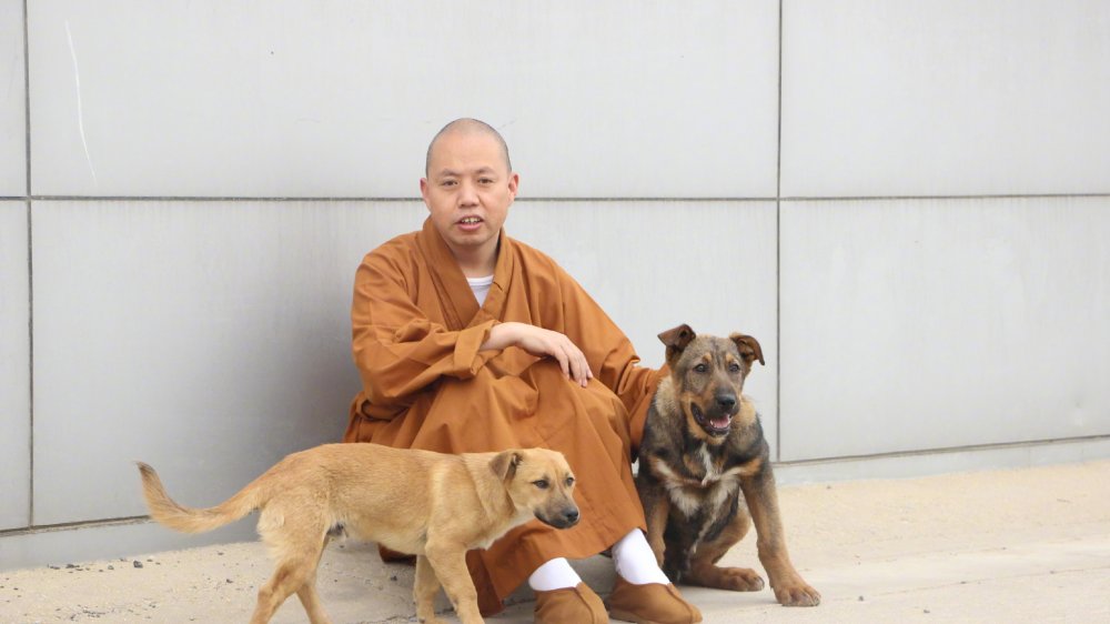 且行且珍惜,且行且珍惜句子