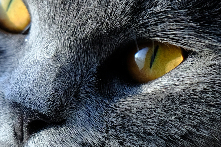 富士xf50mmf2评测,富士xf80mmf2.8