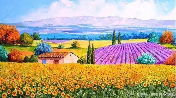 农业已成创业风口!2018年迎来6大农业红利