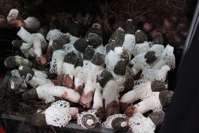 毕节的这些特色农产品你都知道吗,毕节十大特产农产品