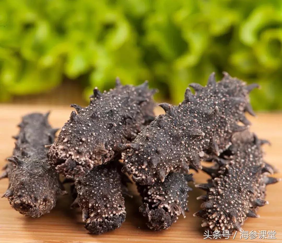 如何挑选海参才最好,怎么选择最好的海参