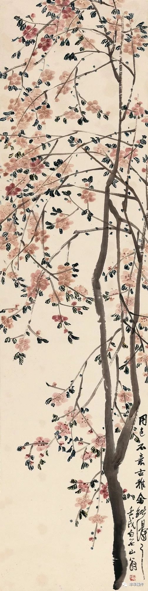 中国嘉德最新征集,中国嘉德第53期