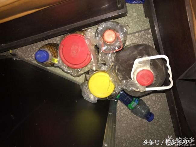 新手钓鱼一学就会,学钓鱼没点狠劲还真不行