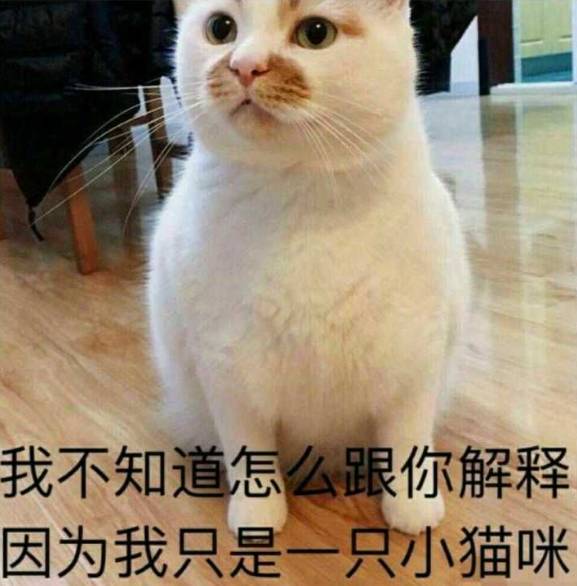 110京妞下嫁凤凰男？不，是高攀了